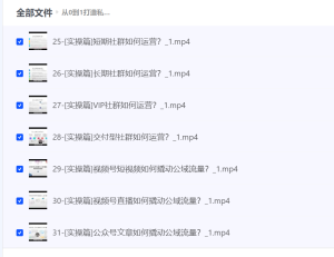 从0到1打造私域变现商业闭环-网络宝藏