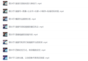 王老师教你低成本、做流量，零基础学做视频号，0-1快速抓住视频号流量-网络宝藏