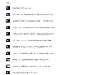 鹤老师短视频底层方法论-网络宝藏