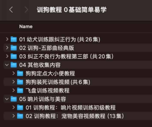 训狗教程视频 训狗师专业指导零基础自学宠物训练犬课程-网络宝藏