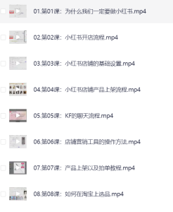 新手如何从0-1玩转小红书店铺-网络宝藏