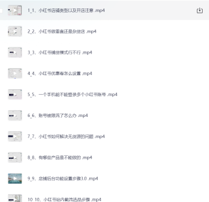 小红书店铺运营从小白到大神2.0，从入门到精通-网络宝藏