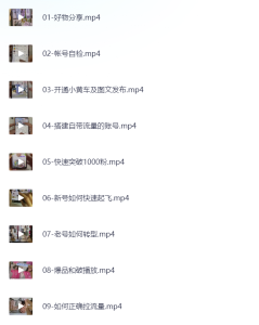 15天学会抖音图文带货，保姆级教程，千粉变现5位数＋-网络宝藏