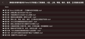 跨境多多海外版多多Temu12天快速入门实操课，入驻、上架、审版、核价、备货、正式售卖全流程-网络宝藏
