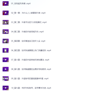 变现为王-豆包姐短视频实战课，了解短视频底层逻辑，找准并拆解对标账号，人物表现力-网络宝藏