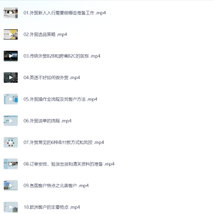 凤姐外贸进阶课（扩客，社媒，沟通，谈判技巧），帮助你了解如何快速入行做外贸-网络宝藏