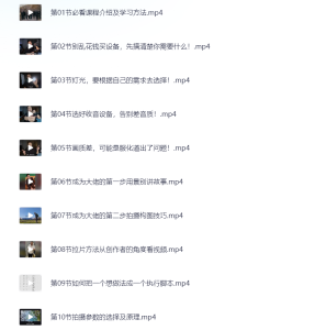手机拍摄运营实战课，用一部手机拍大片，各赛道真实模拟-网络宝藏