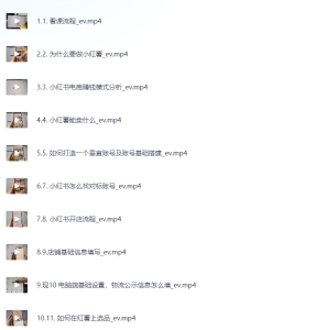 小红书电商运营基础课，新人小白实操课-网络宝藏