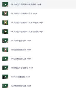 短视频创作运营，让你学会短视频创业的底层逻辑和思维-网络宝藏