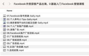 Facebook外贸获客产品出海，0基础入门Facebook营销课程-网络宝藏