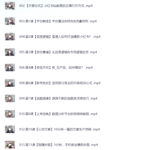 小红书私教营底层逻辑定位课-网络宝藏