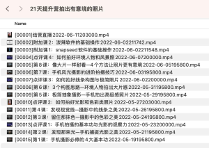 21天提升营拍出有意境的照片-网络宝藏