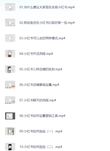 小红书电商新手入门到精通实操课-网络宝藏