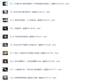 人像审美精修调色摄影学习课程-网络宝藏