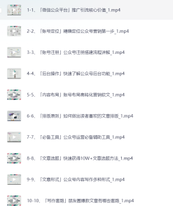 微信公众号引流课程「从基础逻辑到微信搜一搜优化排名，从被动引流到实战变现」-网络宝藏