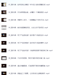 默默营销 精准引流+私域营销+逆袭赚钱（三件套）快速提升你的赚钱认知与营销思维-网络宝藏