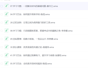 豆神大语文《北大学霸高效学习法》-网络宝藏