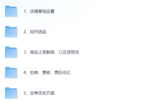 拼多多店群自然流玩法，轻松月入1W+保姆级视频教程（附上货、拍单工具）-网络宝藏