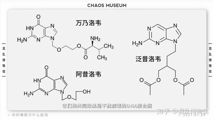 嘴唇上火?单纯疱疹病毒HSV-1-网络宝藏